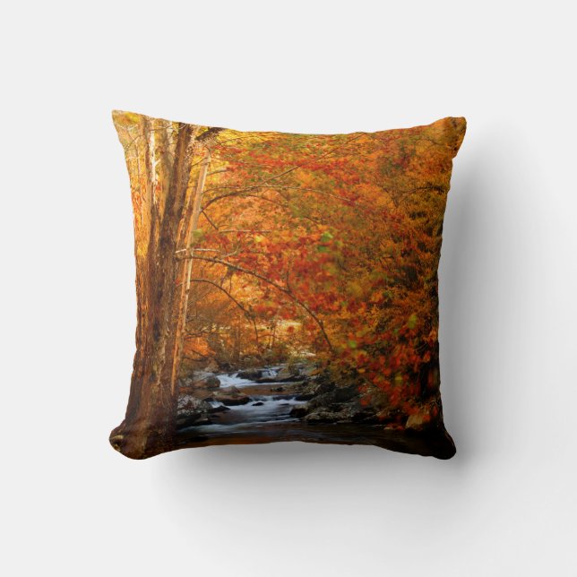 USA, Tennessee. Rushing Mountain Creek 2 Throw Pillow (Front)