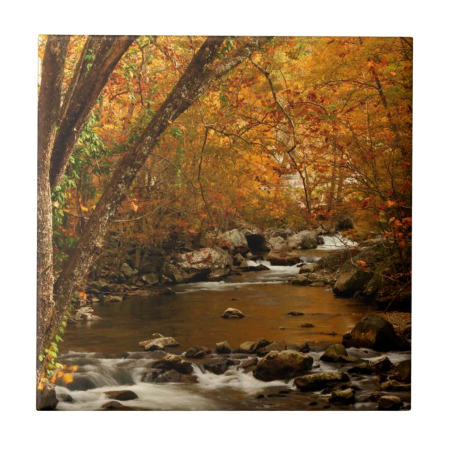 USA, Tennessee. Rushing Mountain Creek 3 Ceramic Tile (Front)