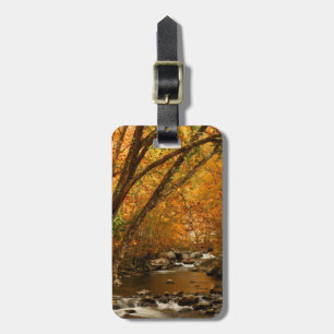 USA, Tennessee. Rushing Mountain Creek 3 Luggage Tag