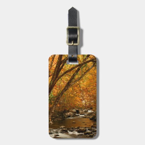 USA Tennessee Rushing Mountain Creek 3 Luggage Tag