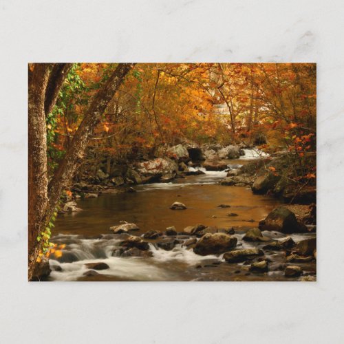 USA Tennessee Rushing Mountain Creek 3 Postcard