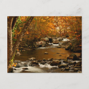USA, Tennessee. Rushing Mountain Creek 3 Postcard