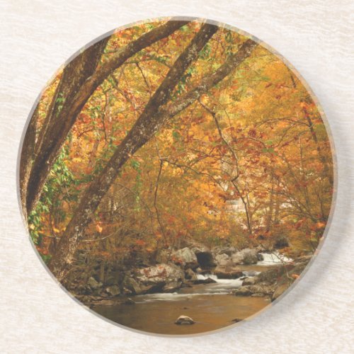 USA Tennessee Rushing Mountain Creek 3 Sandstone Coaster