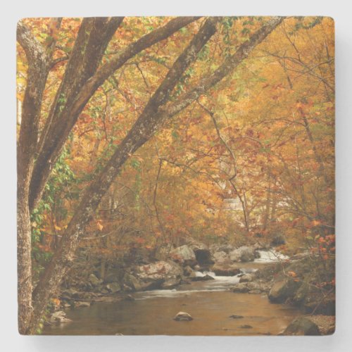 USA Tennessee Rushing Mountain Creek 3 Stone Coaster