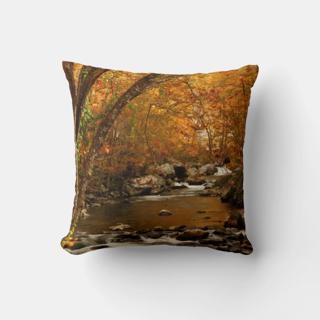 USA, Tennessee. Rushing Mountain Creek 3 Throw Pillow (Front)