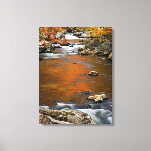 USA, Tennessee. Rushing Mountain Creek 4 Canvas Print (Front)