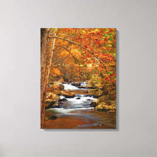 USA, Tennessee. Rushing Mountain Creek Canvas Print