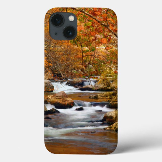 USA, Tennessee. Rushing Mountain Creek Case-Mate iPhone Case (Back)