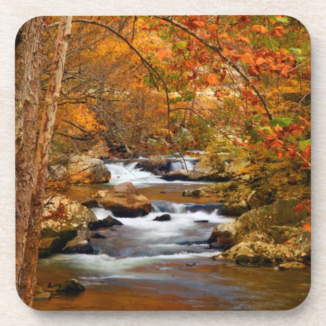 USA, Tennessee. Rushing Mountain Creek Drink Coaster (Front)