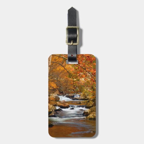 USA Tennessee Rushing Mountain Creek Luggage Tag