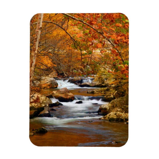USA, Tennessee. Rushing Mountain Creek Magnet (Vertical)