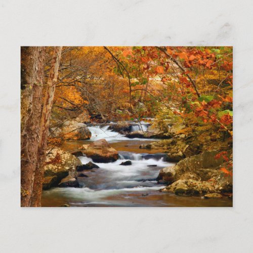 USA Tennessee Rushing Mountain Creek Postcard