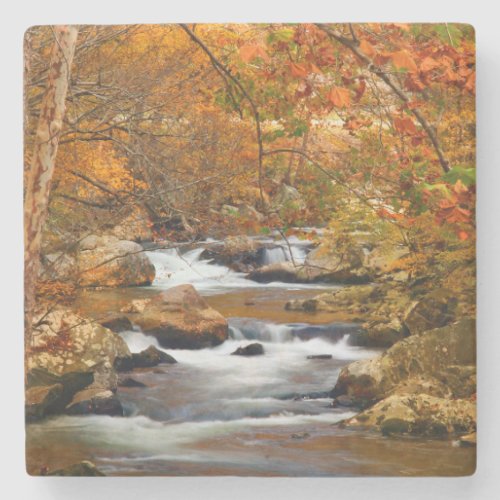 USA Tennessee Rushing Mountain Creek Stone Coaster