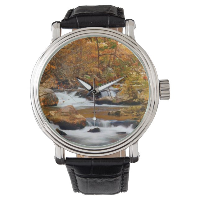 USA, Tennessee. Rushing Mountain Creek Watch (Front)