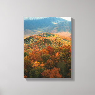 USA, Tennessee. View Of Snowy Mount Leconte Canvas Print