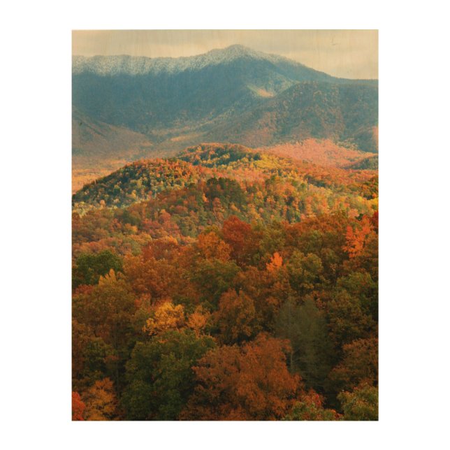 USA, Tennessee. View Of Snowy Mount Leconte Wood Wall Art (Front)