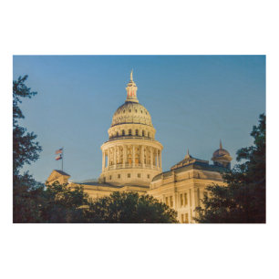 USA, Texas, Austin. Capitol Building (1888) 3 Wood Wall Art