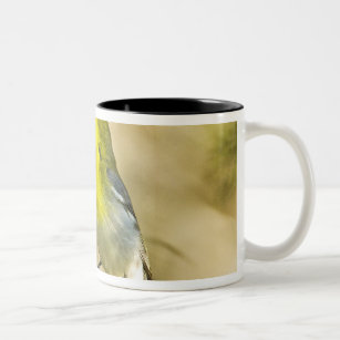 USA, Texas, Balcones Canyon NWR. Male Two-Tone Coffee Mug