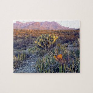 USA, Texas, Big Bend NP. A sandy pink dusk Jigsaw Puzzle