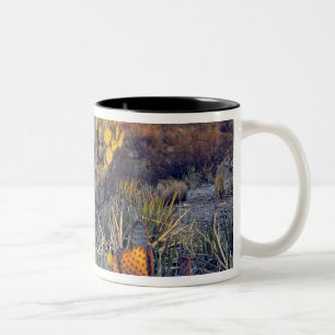 USA, Texas, Big Bend NP. A sandy pink dusk Two-Tone Coffee Mug