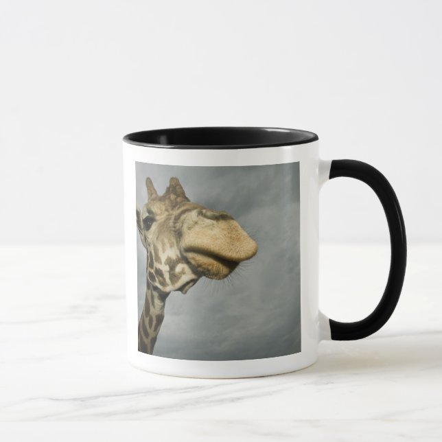 USA, Texas, Fossil Rim Wildlife Area, giraffe Mug (Right)