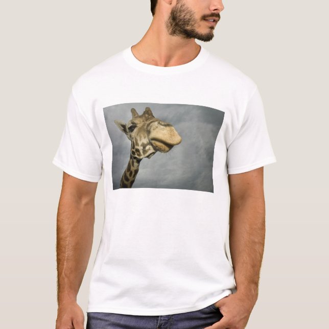 USA, Texas, Fossil Rim Wildlife Area, giraffe T-Shirt (Front)