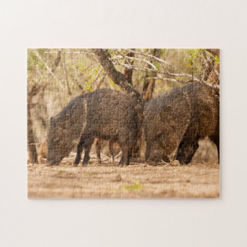 USA Texas Hidalgo County 3 Jigsaw Puzzle