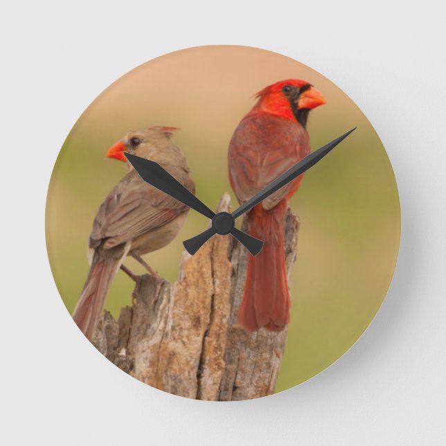 USA, Texas, Hidalgo County. Cardinal Pair Round Clock (Front)