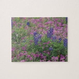 USA, Texas Hill Country. Bluebonnets among phlox Jigsaw Puzzle