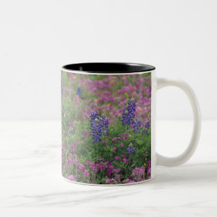 USA, Texas Hill Country. Bluebonnets among phlox Two-Tone Coffee Mug