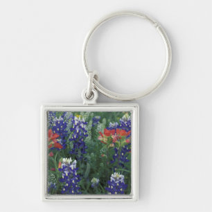 USA, Texas Hill Country. Bluebonnets and Keychain