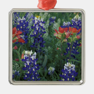 USA, Texas Hill Country. Bluebonnets and Metal Ornament