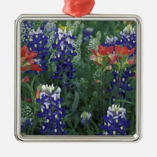 USA Texas Hill Country Bluebonnets and Metal Ornament