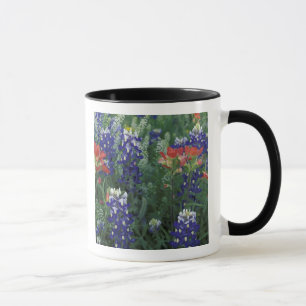 USA, Texas Hill Country. Bluebonnets and Mug
