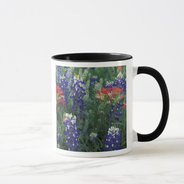 USA, Texas Hill Country. Bluebonnets and Mug (Right)