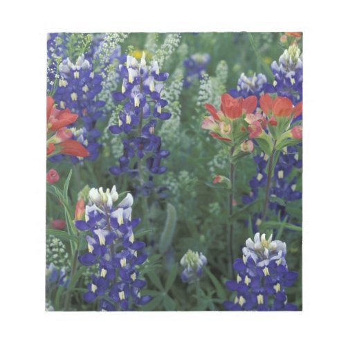 USA Texas Hill Country Bluebonnets and Notepad