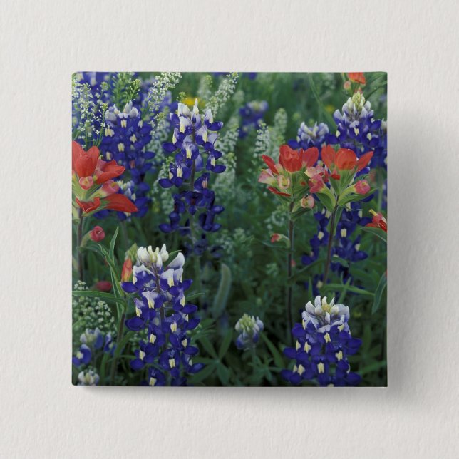 USA, Texas Hill Country. Bluebonnets and Pinback Button (Front)