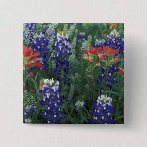 USA Texas Hill Country Bluebonnets and Pinback Button