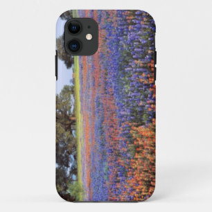 USA, Texas, Llano. Bluebonnets and redbonnets iPhone 11 Case