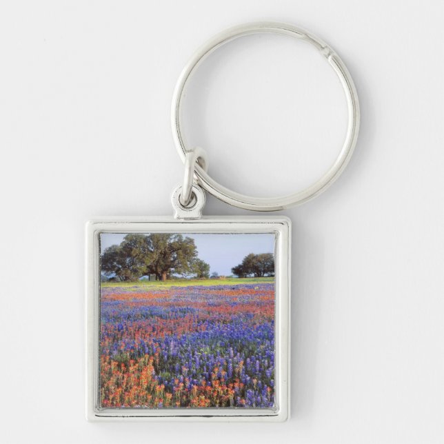 USA, Texas, Llano. Bluebonnets and redbonnets Keychain (Front)
