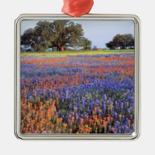 USA, Texas, Llano. Bluebonnets and redbonnets Metal Ornament