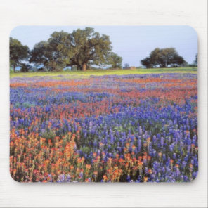 USA, Texas, Llano. Bluebonnets and redbonnets Mouse Pad