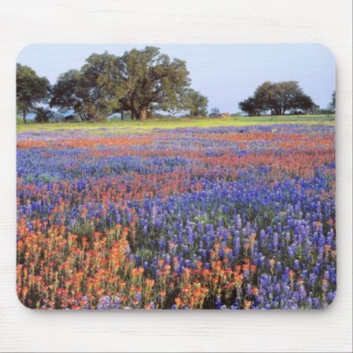 USA, Texas, Llano. Bluebonnets and redbonnets Mouse Pad