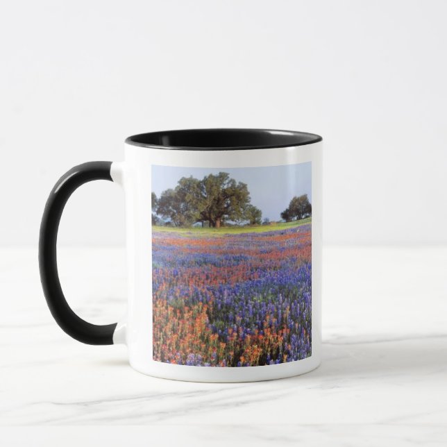 USA, Texas, Llano. Bluebonnets and redbonnets Mug (Left)