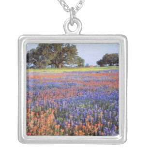 USA, Texas, Llano. Bluebonnets and redbonnets Silver Plated Necklace