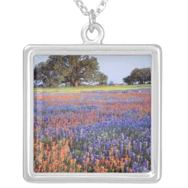 USA, Texas, Llano. Bluebonnets and redbonnets Silver Plated Necklace (Front)