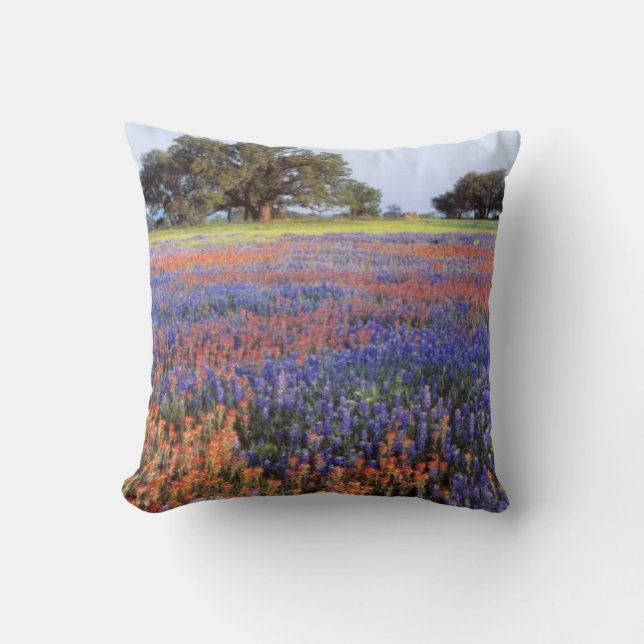 USA, Texas, Llano. Bluebonnets and redbonnets Throw Pillow (Front)