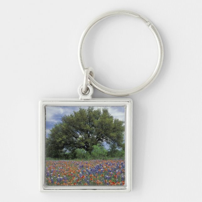 USA, Texas, Marble Falls Paintbrush and Keychain (Front)