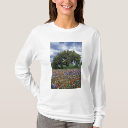 USA Texas Marble Falls Paintbrush and T_Shirt