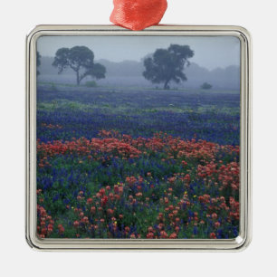 USA, Texas, near Lytle Fog, oaks, blue bonnets Metal Ornament